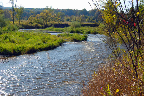 the Mad River winding through Carruthers Memorial Conservation Area in Avening, Ontario