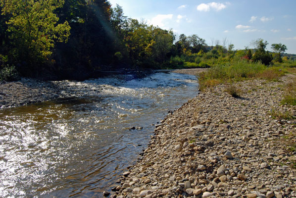 a grassy pathway leads into the woods