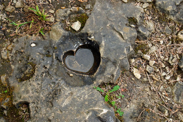 a heart shaped puddle in the rock