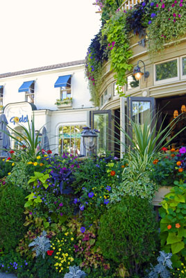 lush plantings outside the cafe entrance